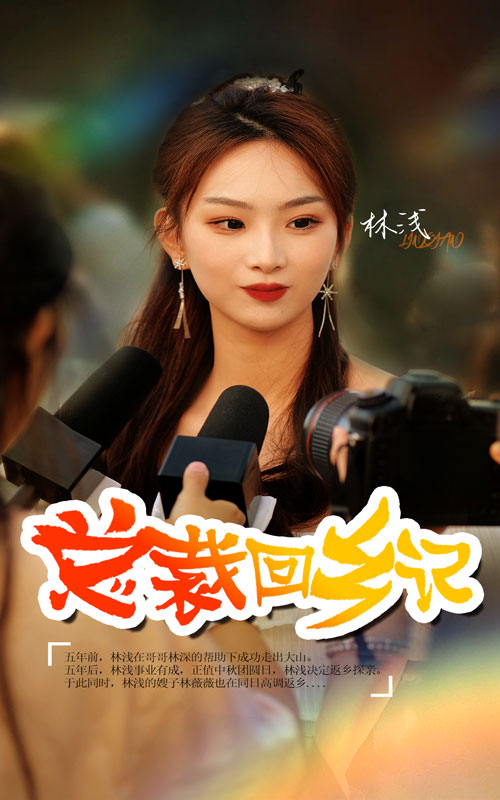 总裁回乡记 第01集