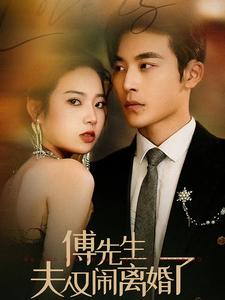 傅先生夫人又闹离婚了 第05集