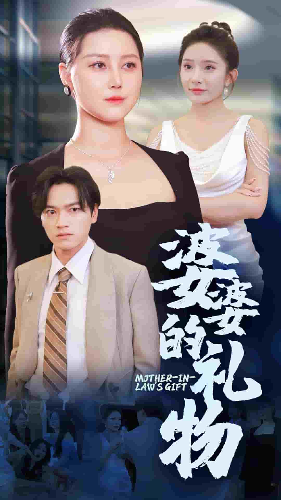 婆婆的礼物 第01集