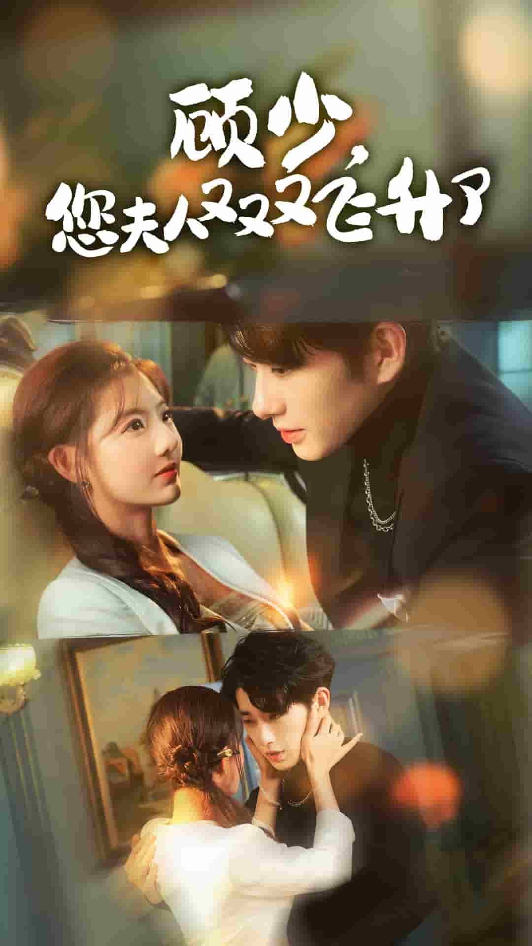 顾少您夫人又又又飞升了 第02集