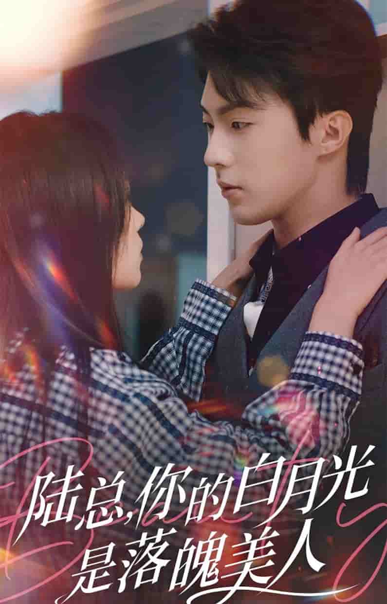 陆总你的白月光是落魄美人 第02集