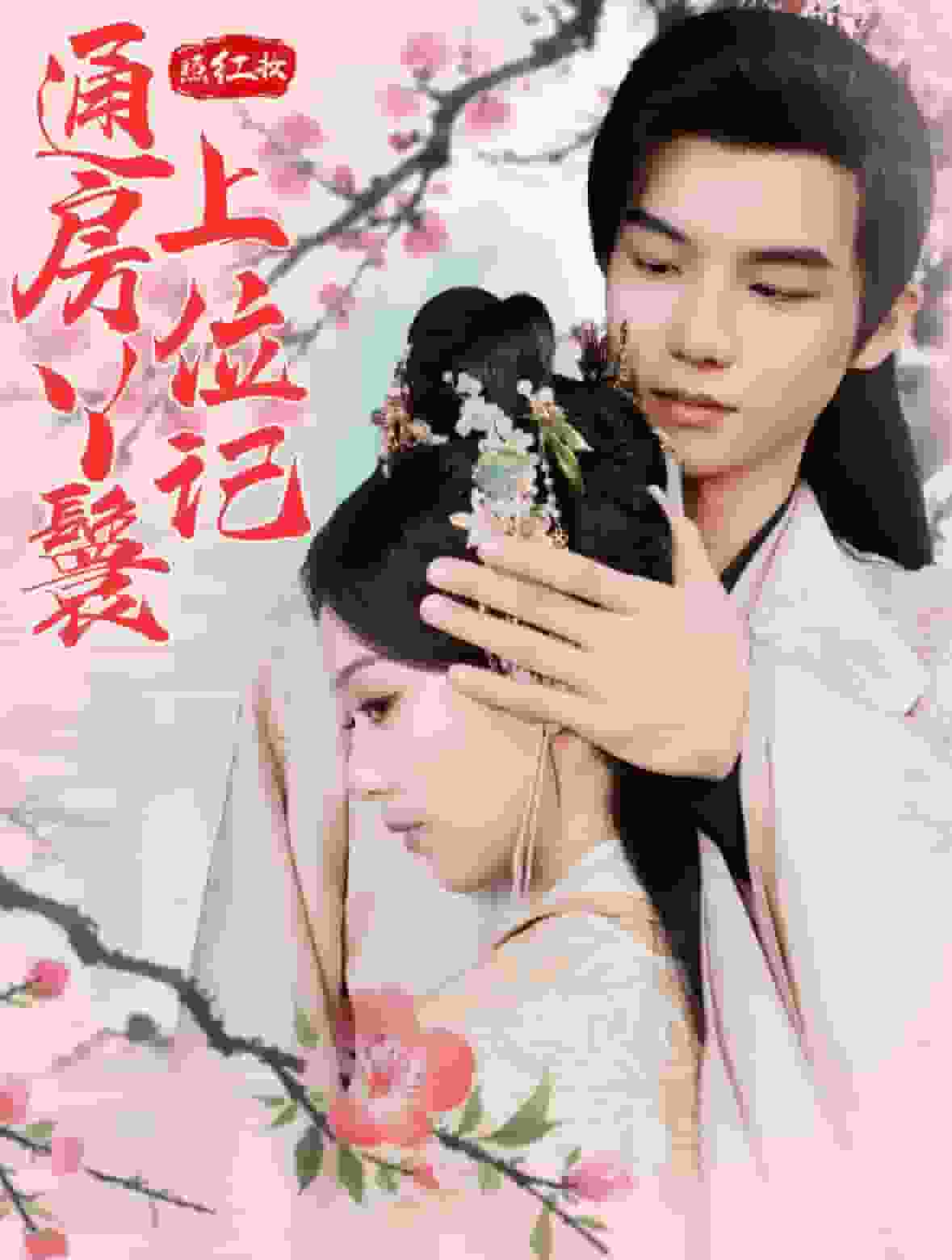 照红妆通房丫鬟上位记 第01集