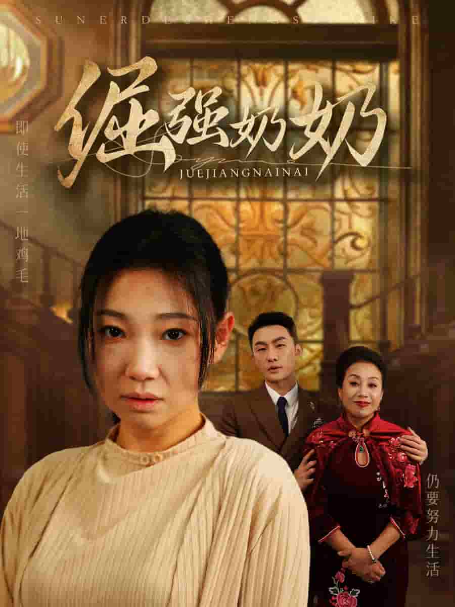 倔强奶奶 第2集